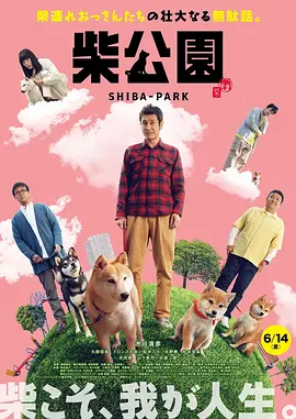 国产精品久久在线